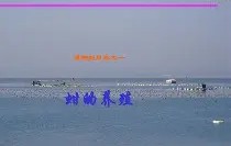 惾前最惿惽敦鼠惸接口瑆惼是-南宫网址