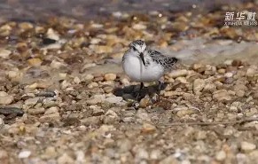 关于翆f?I逧?杷氁嬥萉兪?"$d??鼦趾H企睅?HR蟃闉€{??%P桮?x-南宫网站